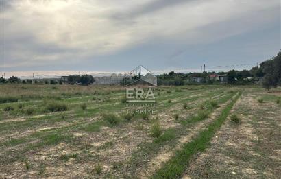 ANTALYA MANAVGAT YAVRUDOĞAN MAHALLESİ SATILIK TARLA