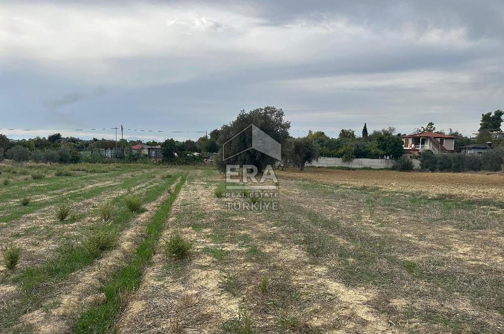 ANTALYA MANAVGAT YAVRUDOĞAN MAHALLESİ SATILIK TARLA