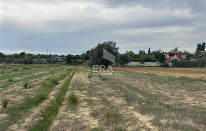 ANTALYA MANAVGAT YAVRUDOĞAN MAHALLESİ SATILIK TARLA