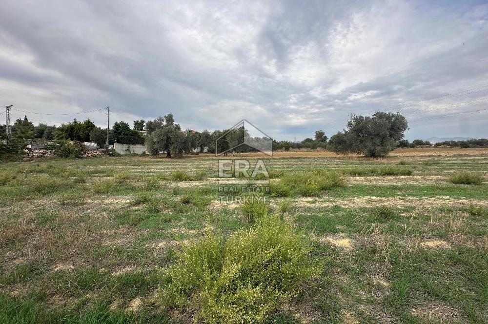 ANTALYA MANAVGAT YAVRUDOĞAN MAHALLESİ SATILIK TARLA