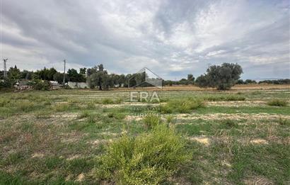 ANTALYA MANAVGAT YAVRUDOĞAN MAHALLESİ SATILIK TARLA