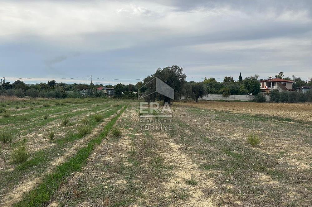 ANTALYA MANAVGAT YAVRUDOĞAN MAHALLESİ SATILIK TARLA