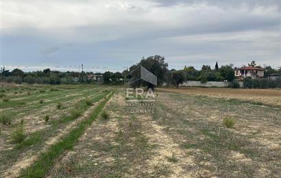 ANTALYA MANAVGAT YAVRUDOĞAN MAHALLESİ SATILIK TARLA