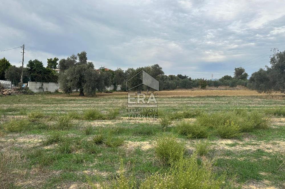 ANTALYA MANAVGAT YAVRUDOĞAN MAHALLESİ SATILIK TARLA