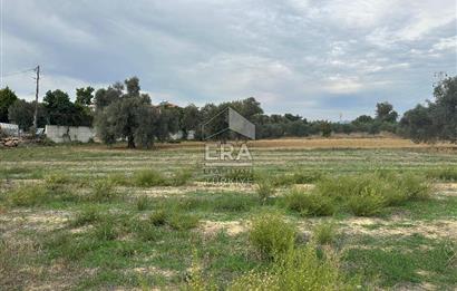 ANTALYA MANAVGAT YAVRUDOĞAN MAHALLESİ SATILIK TARLA