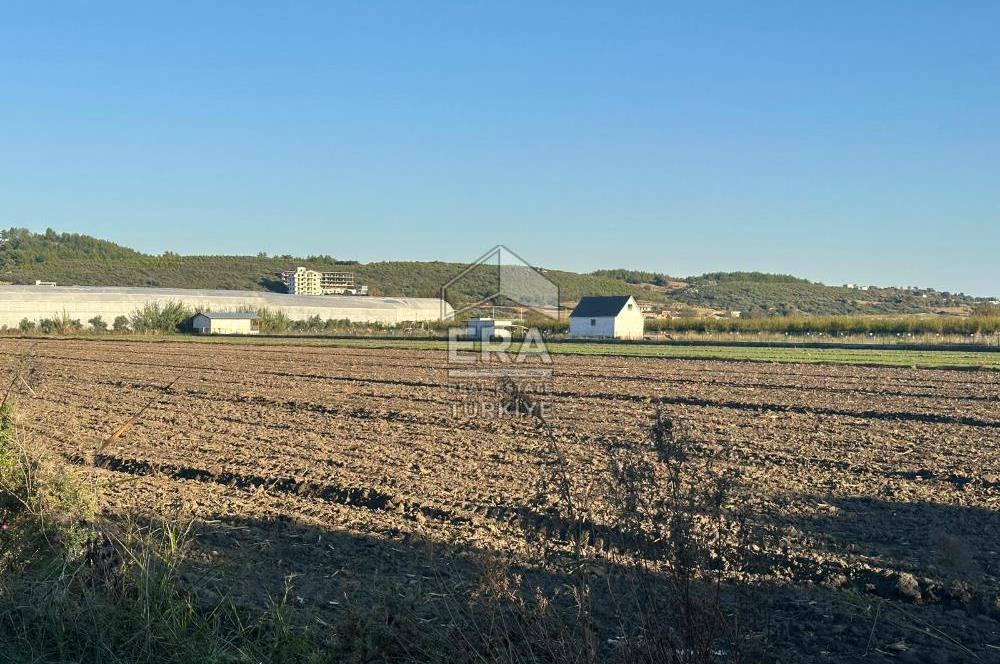 ANTALYA MANAVGAT BEREKET MAHALLESİ SATILIK TEK TAPU TARLA