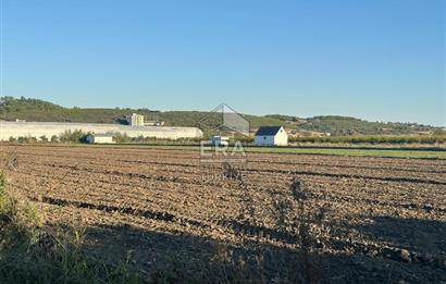 ANTALYA MANAVGAT BEREKET MAHALLESİ SATILIK TEK TAPU TARLA