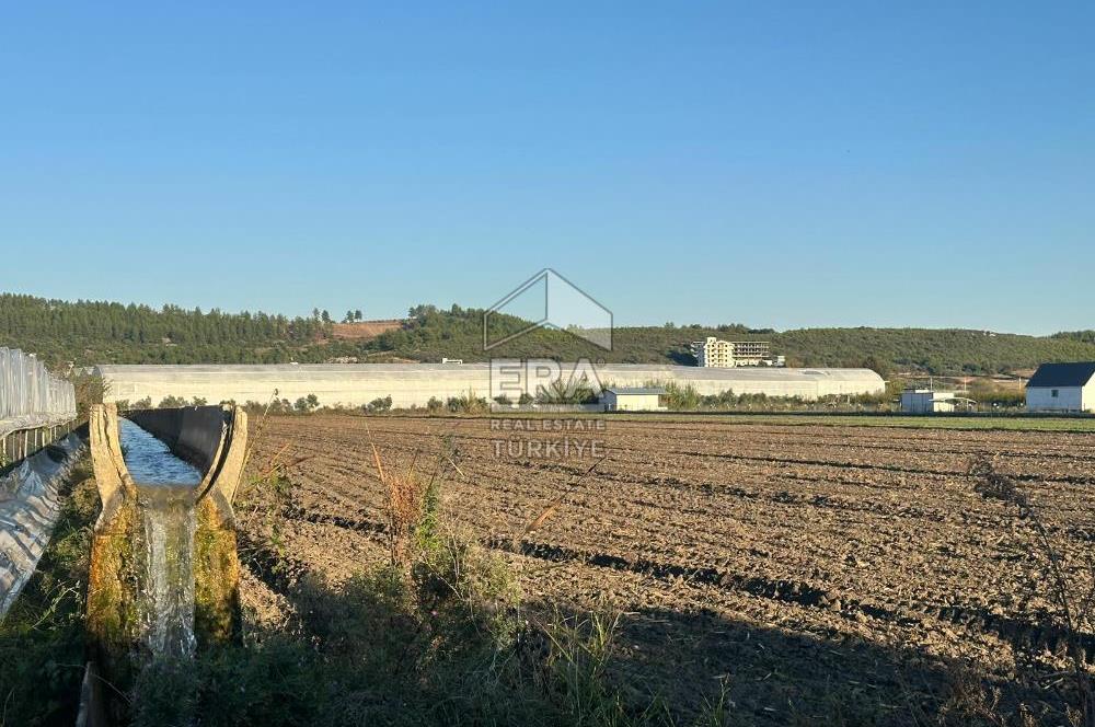 ANTALYA MANAVGAT BEREKET MAHALLESİ SATILIK TEK TAPU TARLA