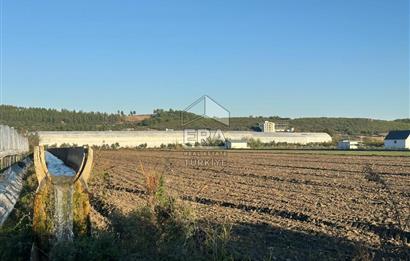 ANTALYA MANAVGAT BEREKET MAHALLESİ SATILIK TEK TAPU TARLA