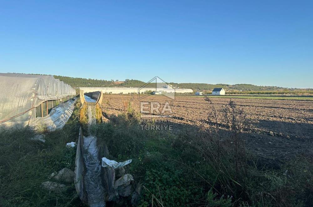 ANTALYA MANAVGAT BEREKET MAHALLESİ SATILIK TEK TAPU TARLA