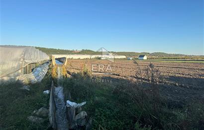 ANTALYA MANAVGAT BEREKET MAHALLESİ SATILIK TEK TAPU TARLA