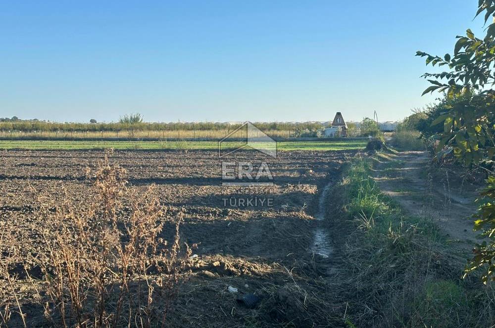 ANTALYA MANAVGAT BEREKET MAHALLESİ SATILIK TEK TAPU TARLA