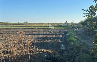 ANTALYA MANAVGAT BEREKET MAHALLESİ SATILIK TEK TAPU TARLA