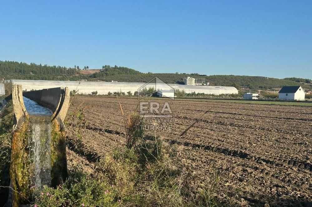 ANTALYA MANAVGAT BEREKET MAHALLESİ SATILIK TEK TAPU TARLA