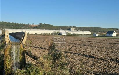 ANTALYA MANAVGAT BEREKET MAHALLESİ SATILIK TEK TAPU TARLA