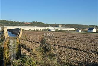 ANTALYA MANAVGAT BEREKET MAHALLESİ SATILIK TEK TAPU TARLA - 1 - 13849