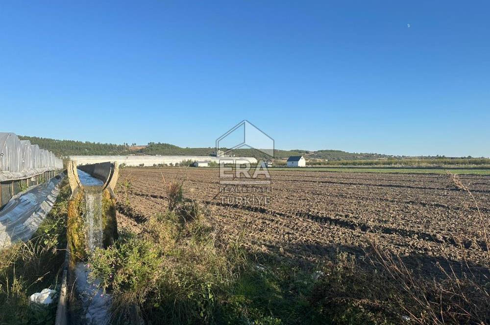 ANTALYA MANAVGAT BEREKET MAHALLESİ SATILIK TEK TAPU TARLA