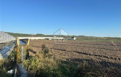 ANTALYA MANAVGAT BEREKET MAHALLESİ SATILIK TEK TAPU TARLA