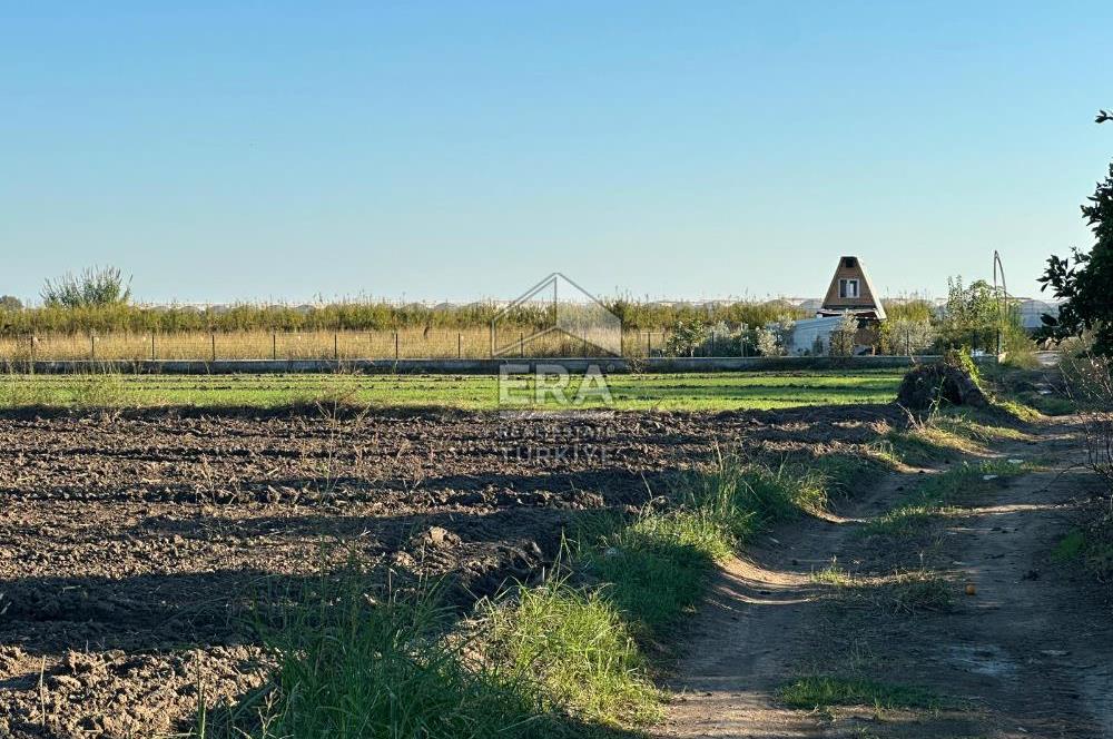 ANTALYA MANAVGAT BEREKET MAHALLESİ SATILIK TEK TAPU TARLA