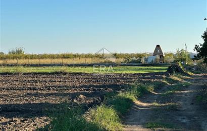 ANTALYA MANAVGAT BEREKET MAHALLESİ SATILIK TEK TAPU TARLA