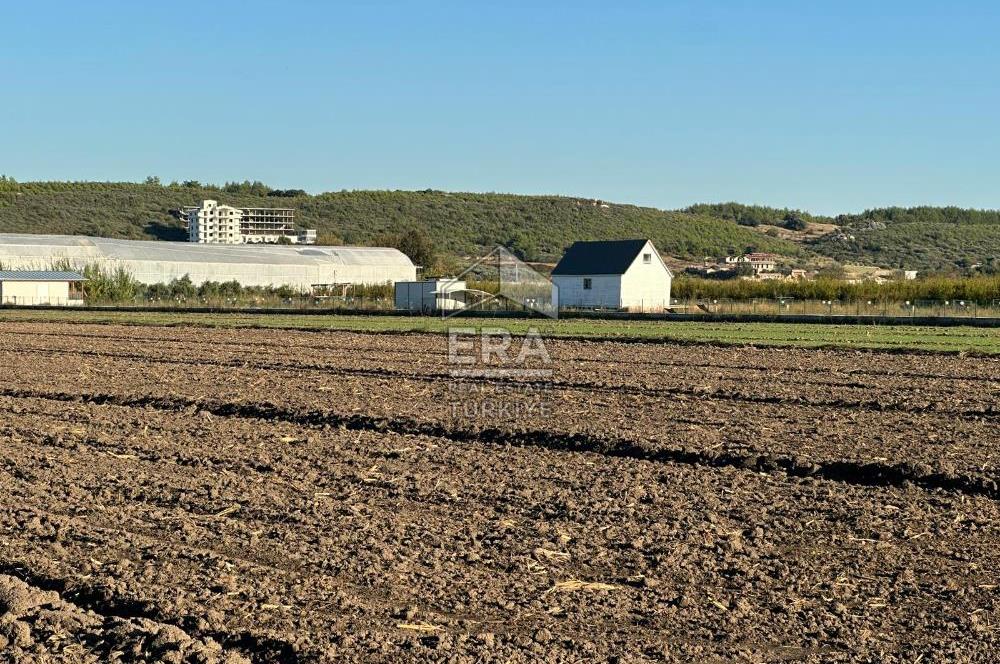 ANTALYA MANAVGAT BEREKET MAHALLESİ SATILIK TEK TAPU TARLA