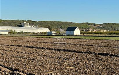 ANTALYA MANAVGAT BEREKET MAHALLESİ SATILIK TEK TAPU TARLA