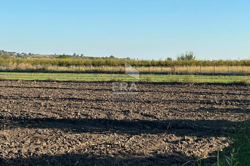 ANTALYA MANAVGAT BEREKET MAHALLESİ SATILIK TEK TAPU TARLA