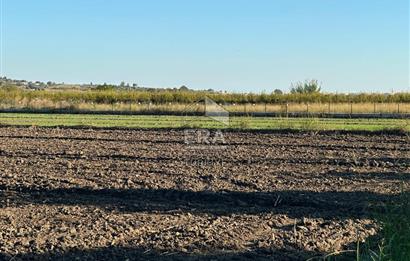 ANTALYA MANAVGAT BEREKET MAHALLESİ SATILIK TEK TAPU TARLA