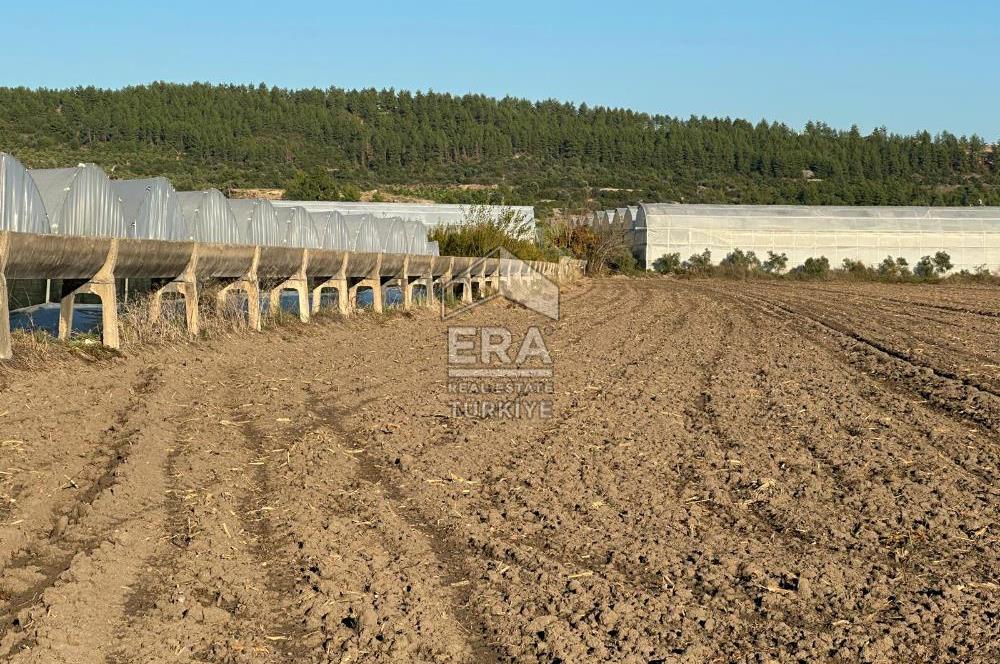 ANTALYA MANAVGAT BEREKET MAHALLESİ SATILIK TEK TAPU TARLA