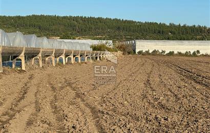 ANTALYA MANAVGAT BEREKET MAHALLESİ SATILIK TEK TAPU TARLA