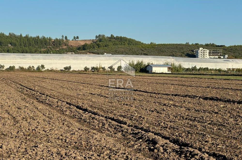 ANTALYA MANAVGAT BEREKET MAHALLESİ SATILIK TEK TAPU TARLA