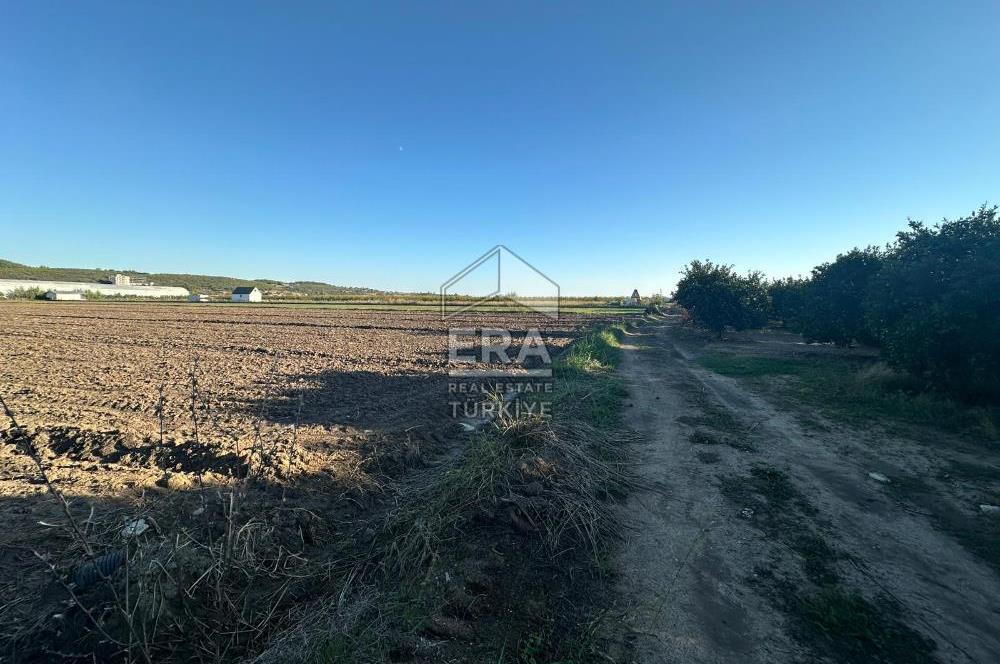 ANTALYA MANAVGAT BEREKET MAHALLESİ SATILIK TEK TAPU TARLA