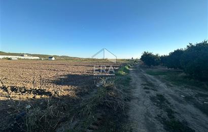 ANTALYA MANAVGAT BEREKET MAHALLESİ SATILIK TEK TAPU TARLA