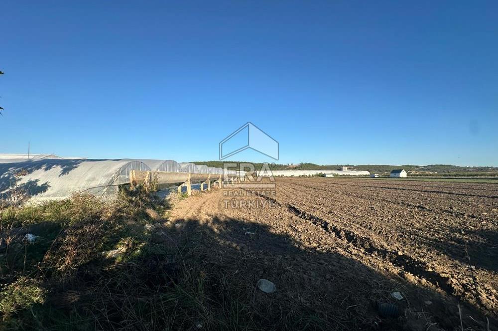 ANTALYA MANAVGAT BEREKET MAHALLESİ SATILIK TEK TAPU TARLA