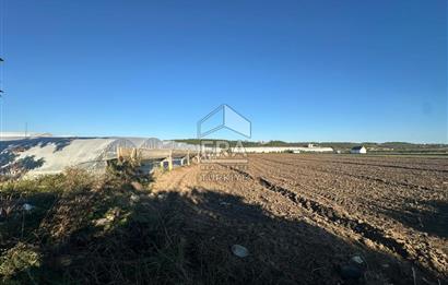 ANTALYA MANAVGAT BEREKET MAHALLESİ SATILIK TEK TAPU TARLA