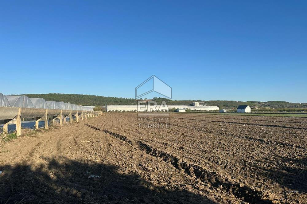 ANTALYA MANAVGAT BEREKET MAHALLESİ SATILIK TEK TAPU TARLA