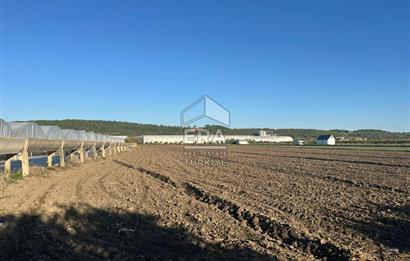 ANTALYA MANAVGAT BEREKET MAHALLESİ SATILIK TEK TAPU TARLA