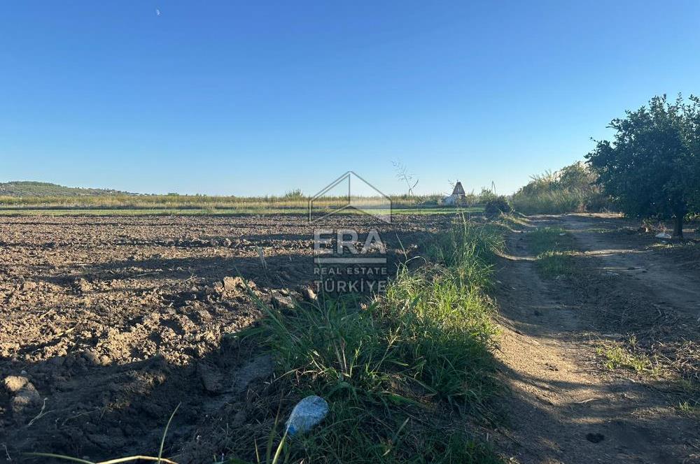 ANTALYA MANAVGAT BEREKET MAHALLESİ SATILIK TEK TAPU TARLA