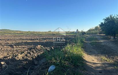 ANTALYA MANAVGAT BEREKET MAHALLESİ SATILIK TEK TAPU TARLA