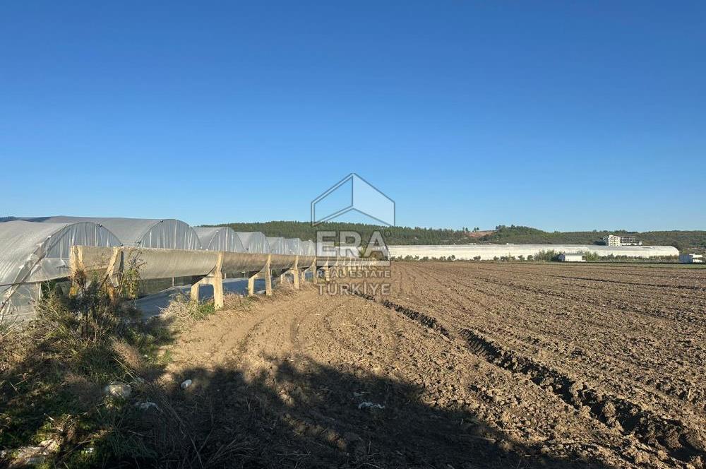 ANTALYA MANAVGAT BEREKET MAHALLESİ SATILIK TEK TAPU TARLA