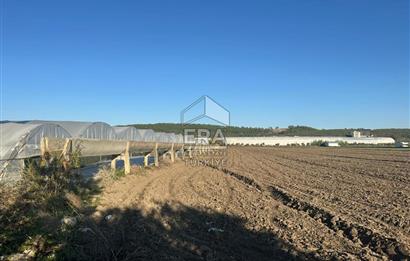 ANTALYA MANAVGAT BEREKET MAHALLESİ SATILIK TEK TAPU TARLA