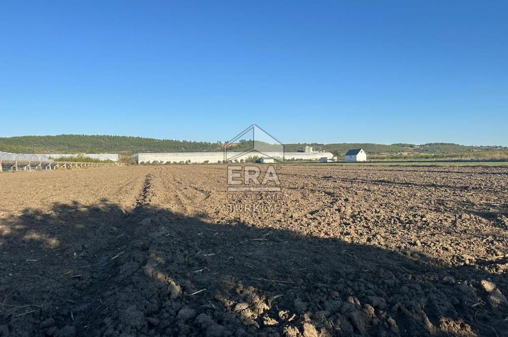 ANTALYA MANAVGAT BEREKET MAHALLESİ SATILIK TEK TAPU TARLA