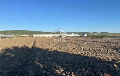 ANTALYA MANAVGAT BEREKET MAHALLESİ SATILIK TEK TAPU TARLA