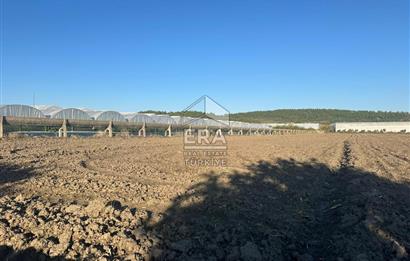 ANTALYA MANAVGAT BEREKET MAHALLESİ SATILIK TEK TAPU TARLA