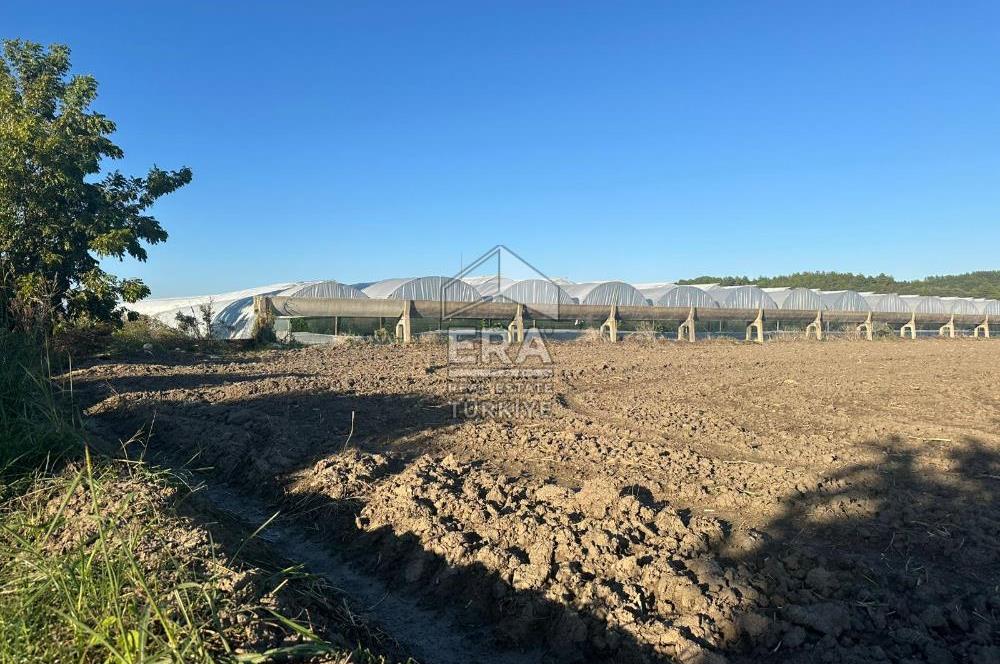 ANTALYA MANAVGAT BEREKET MAHALLESİ SATILIK TEK TAPU TARLA