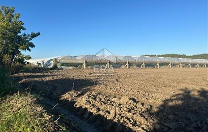 ANTALYA MANAVGAT BEREKET MAHALLESİ SATILIK TEK TAPU TARLA