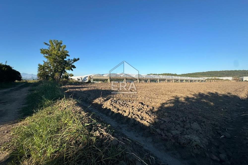 ANTALYA MANAVGAT BEREKET MAHALLESİ SATILIK TEK TAPU TARLA