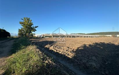 ANTALYA MANAVGAT BEREKET MAHALLESİ SATILIK TEK TAPU TARLA