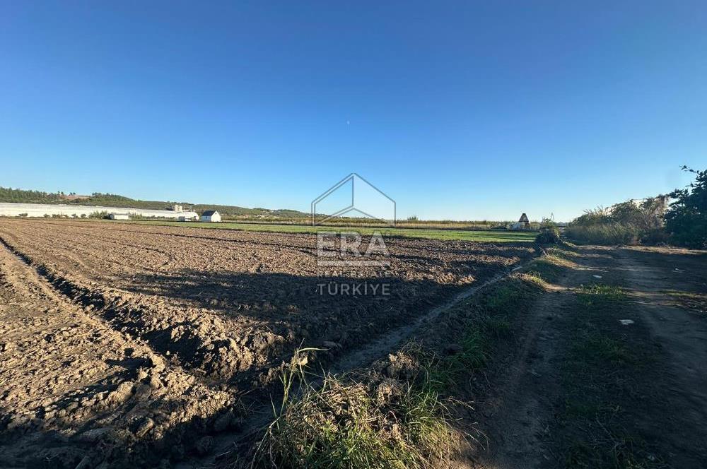 ANTALYA MANAVGAT BEREKET MAHALLESİ SATILIK TEK TAPU TARLA