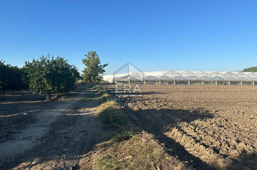 ANTALYA MANAVGAT BEREKET MAHALLESİ SATILIK TEK TAPU TARLA